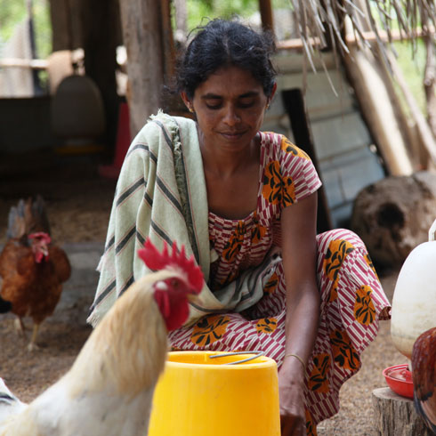 Une femme s'accroupit au sol entourée de p