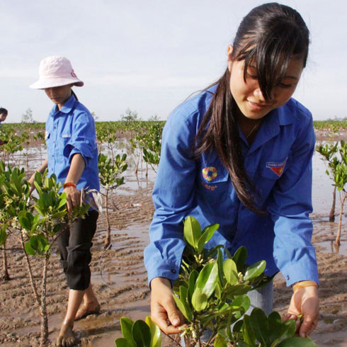 Des collaboratrices de CARE reboisent un champs après une inondation
