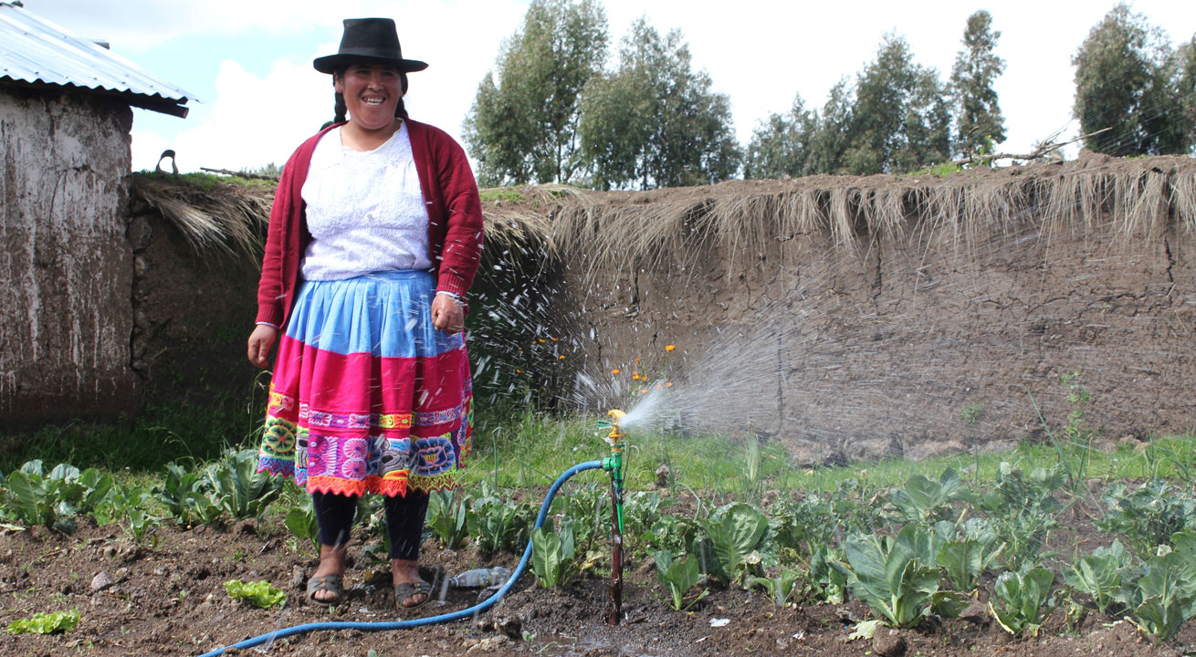 Plus de plantes peuvent être plantées. Photo: CARE